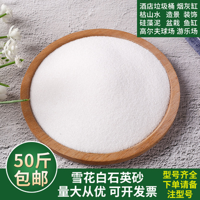 石英砂颗粒细沙白色灭烟沙酒店烟灰缸专用垃圾桶鱼缸造景纯白沙子