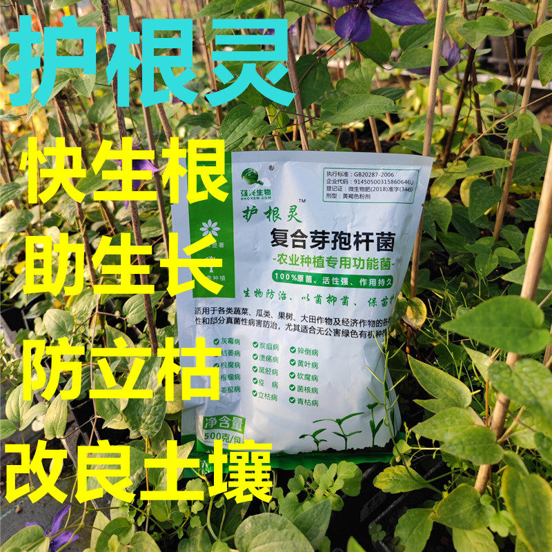 黄姐园艺护根灵复合型芽孢杆菌防立枯促多生根助营养吸收改良土壤