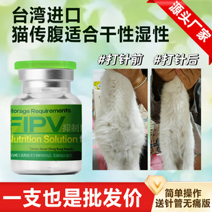 猫传腹喵咪针剂片剂口服干性湿性水剂油剂喵咪传腹腹水猫咪特针剂