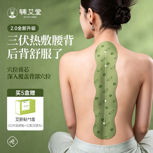 辅艾堂督脉龙骨灸加大加长艾灸贴