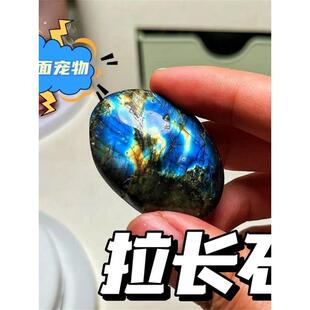 宠物石头稀罕宠物适合小孩子养的学生迷你宠物拉长石桌面宠物石头