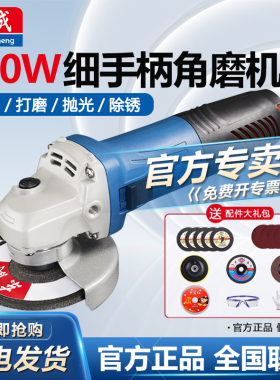东成角磨机手打磨机多功能家用切割磨光抛光机砂轮S1M-FF09-100S