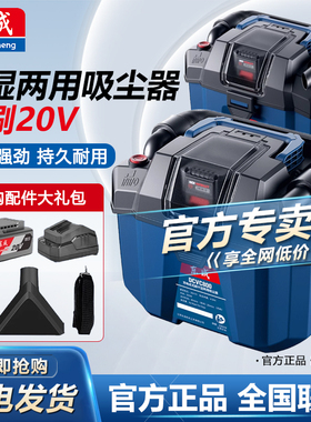 东成吸尘器无线车载强力干湿两用家用除尘机无刷锂电排尘DCVC800