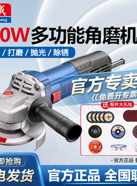 东成角磨机多功能小型家用切割机手砂轮打磨抛光机S1M-FF03-100S