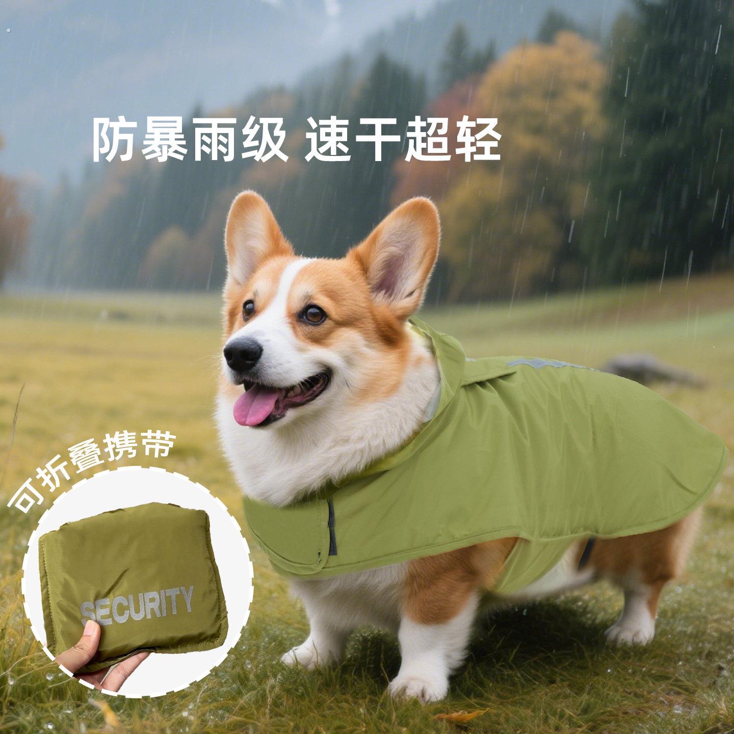 宠物狗狗雨衣柯基专用雨披柴犬雪纳瑞2025新款雨天遛狗神器中型犬