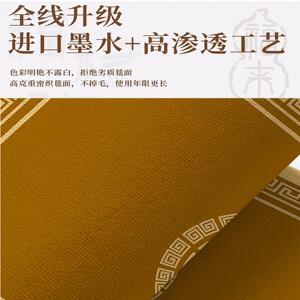 东户朝西入户门脚垫土黄色地垫轻奢圈绒地毯免洗耐脏可裁剪玄关垫