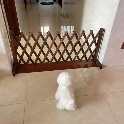 宠物围栏狗笼隔断拦狗栅栏阳台隔离门可伸缩栅栏门挡狗挡猫兔护栏