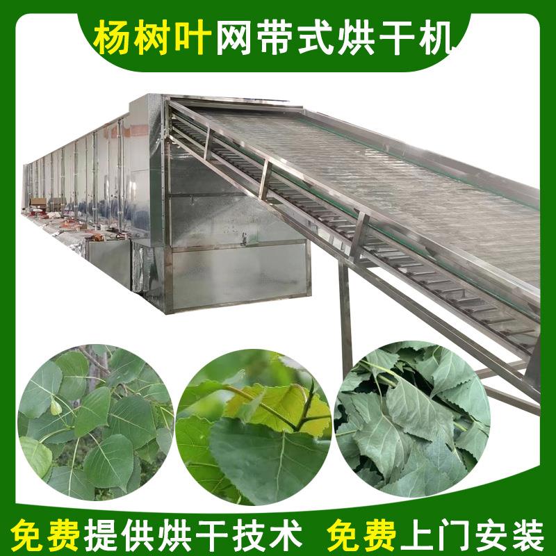杨树叶烘干机带式杨树叶干燥机连续式网带烘干机厂家