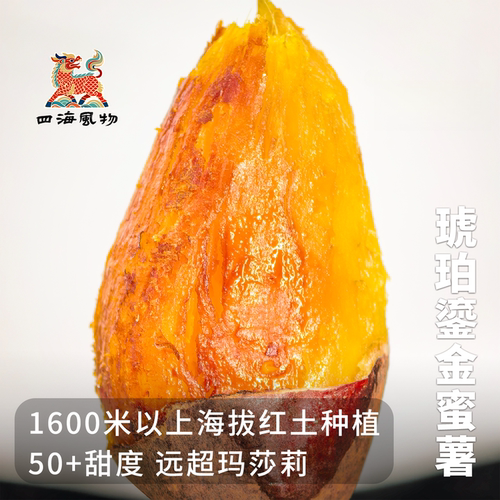 四海风物琥珀鎏金蜜薯金薯