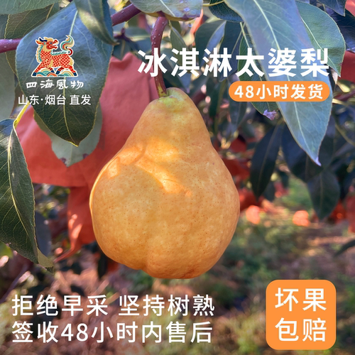 四海风物烟台中华丑梨冰淇淋太婆梨当季水果软梨孕妇宝宝可食