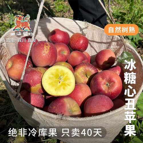 四海风物云南直发树熟高山冰糖心丑苹果脆甜当日现摘包邮