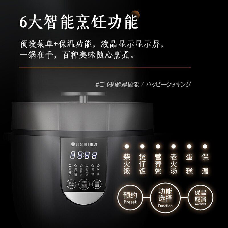 欧之宝车载电饭锅24v货车12v自驾游迷你智能多功能车家两用电饭锅