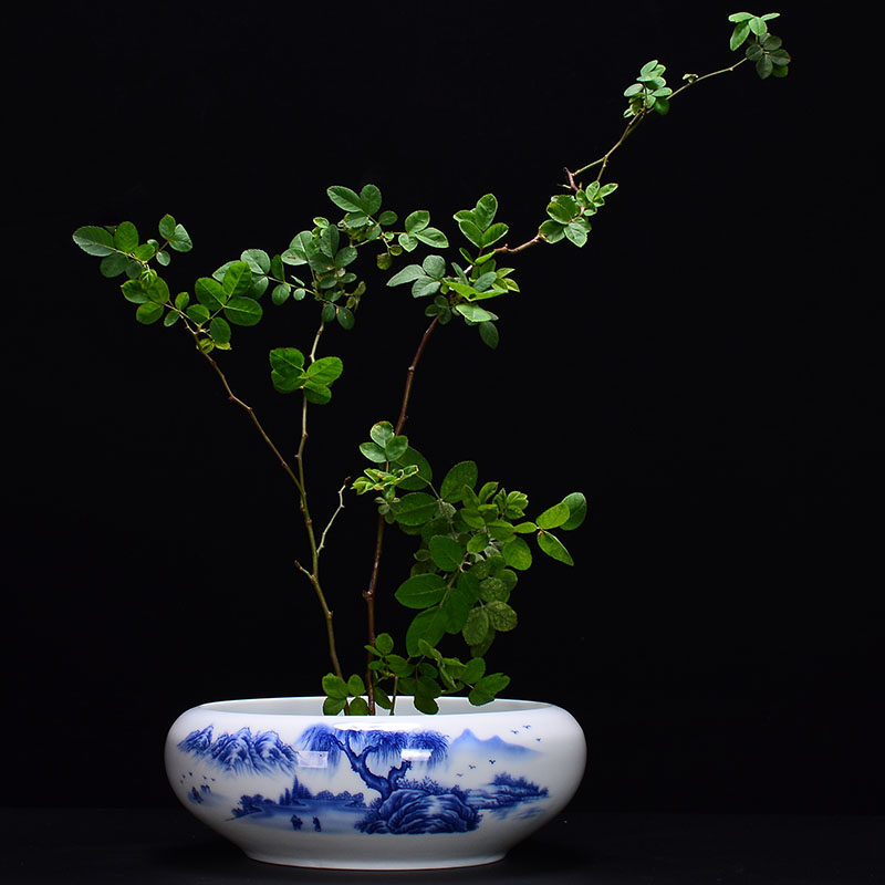 碗莲睡莲花盆特大号无孔水培铜钱草水仙剑山插花器花盆容器青花瓷