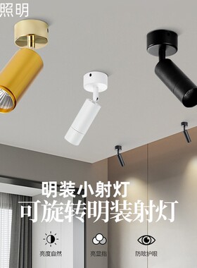 明装小射灯LED吸顶射灯天花板灯嵌入式迷你射灯小型家用筒灯无主