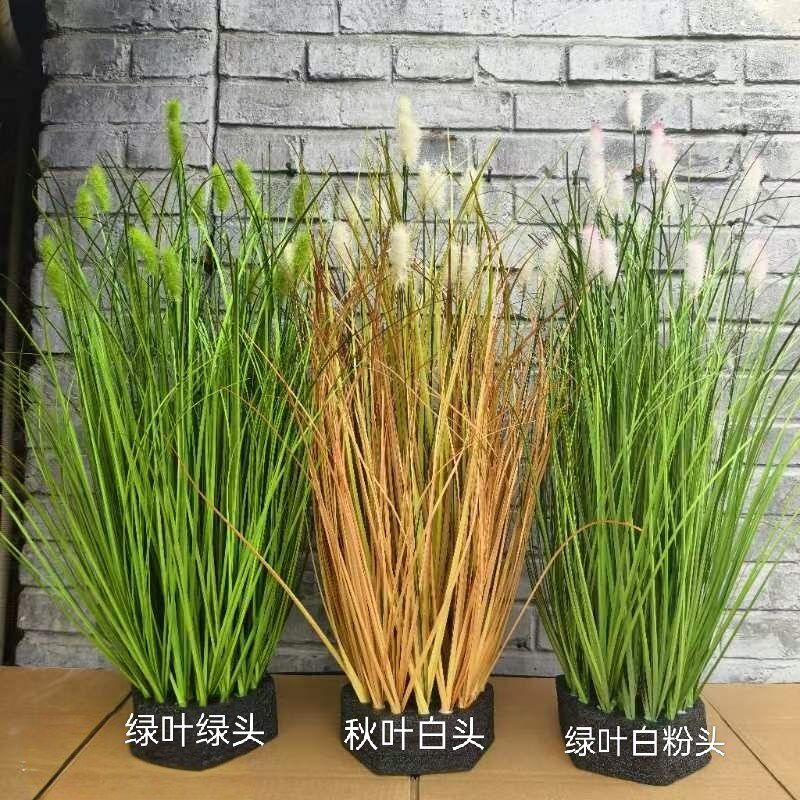 仿真兔尾草干花舞台道具稻谷狗尾草芦苇干草装饰绿色植物盆栽盆景