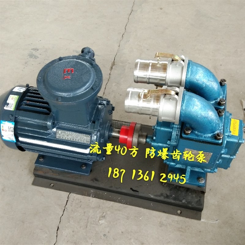 大流量防爆50YHCB20电动汽柴油齿轮泵车载泵卸油泵小型油泵抽粪泵