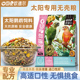 欧德尔小太阳鹦鹉饲料专用无壳粮鸟粮食种子混合粮滋养丸营养饲料