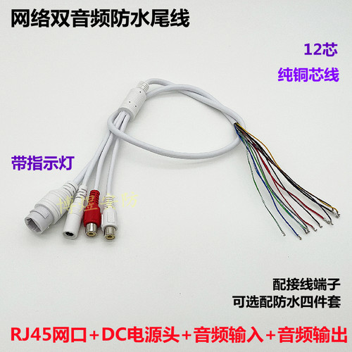 监控RJ45+DC+音频输入+音频输出网络防水尾线双音频12芯尾线带灯