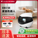 EBO 家庭机器人智能全屋移动宠物陪伴老人小孩监控摄像头手机远程遥控双向语音 国家补贴