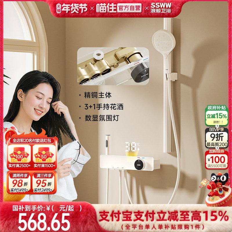 浪鲸卫浴简易淋浴花洒套装家用卫生间浴室置物台精铜花洒628