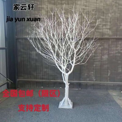 干树枝白色树枝许愿树橱窗枯树造景婚庆树枝摆件酒店民宿白树装饰