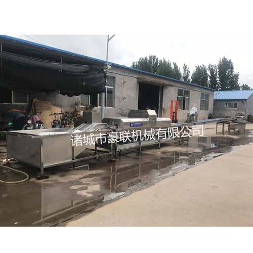 全自动洗蛋机 清洗风干光检喷码喷油杀菌分级成套工艺