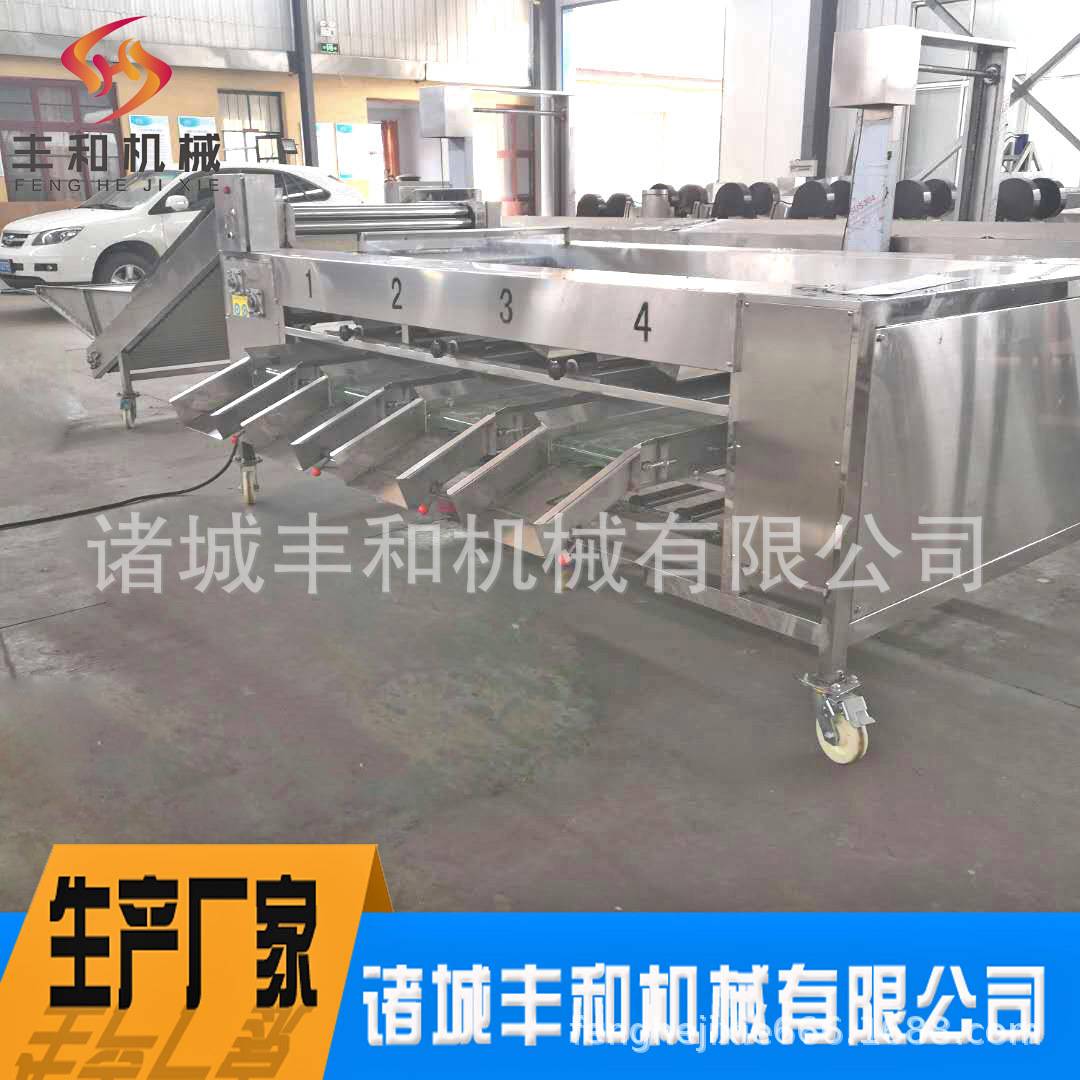 果蔬大小分级机 冰糖橙分级机 柠檬分级机 人参果蜜桔分选设备