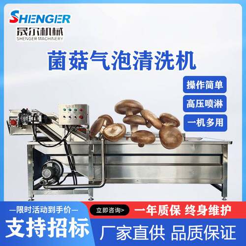 不锈钢果蔬喷淋清洗机  果蔬油菜气泡清洗机 竹笋清洗机设备