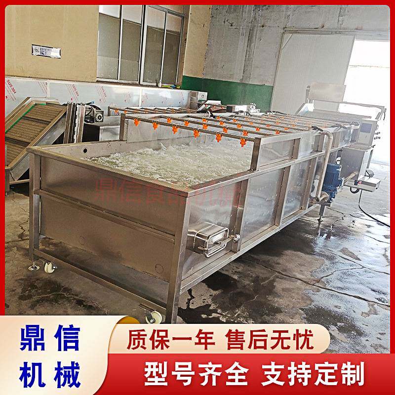 小型鲜姜去泥去皮机 不锈钢全自动生姜清洗机 果蔬超声波清洗机
