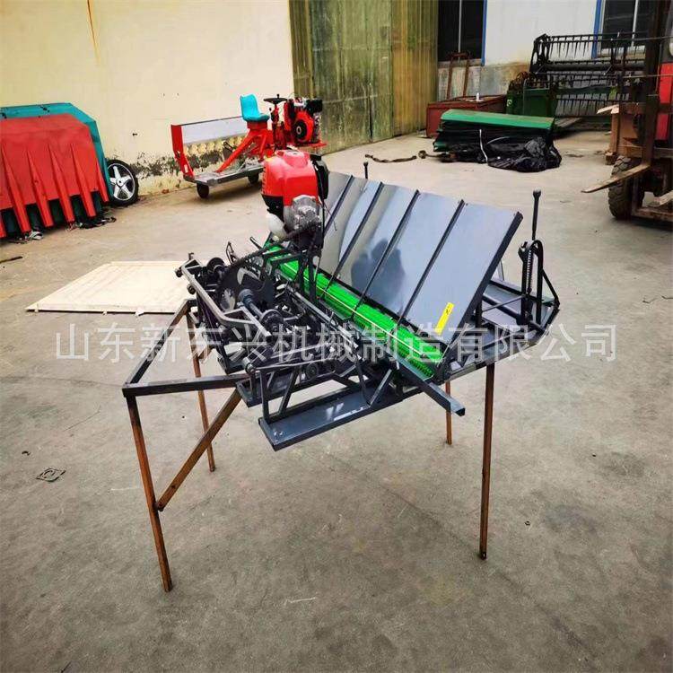 手扶式水稻秧苗机 水稻插秧补苗机 手推水稻种植机,农机/农具/农膜,播种栽苗器/地膜机,淘宝优惠券,粉丝福利购,淘宝优惠卷