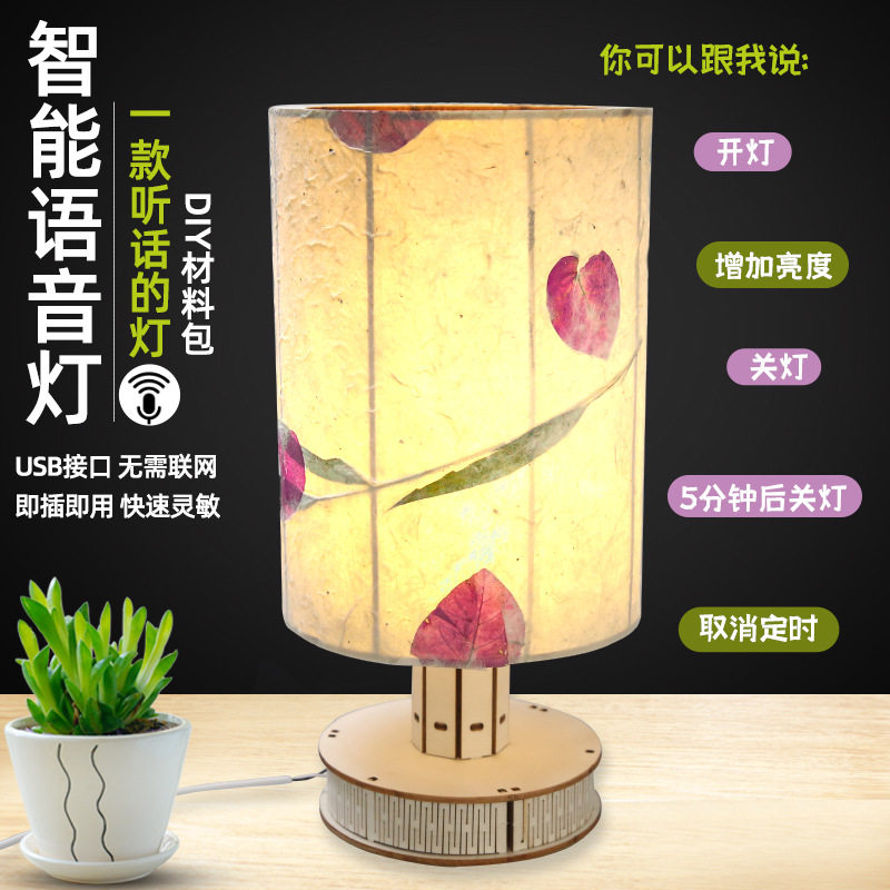 押花台灯diy手工干花小夜灯 压花植物声控床头灯沙龙团建活动材料