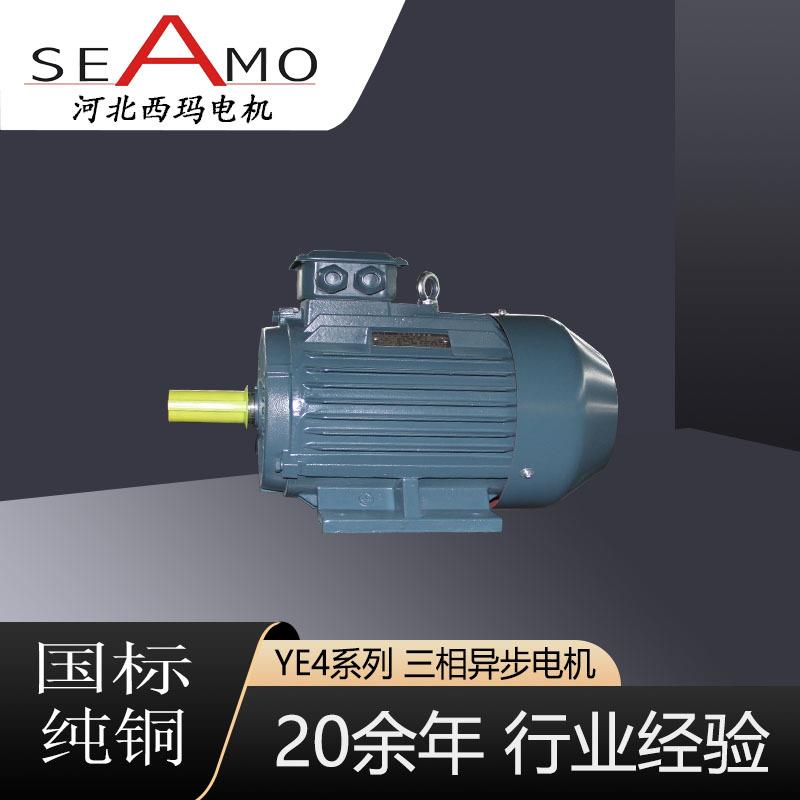 定制生产YE4-4极2.2-400W超高效三相异步电动机
