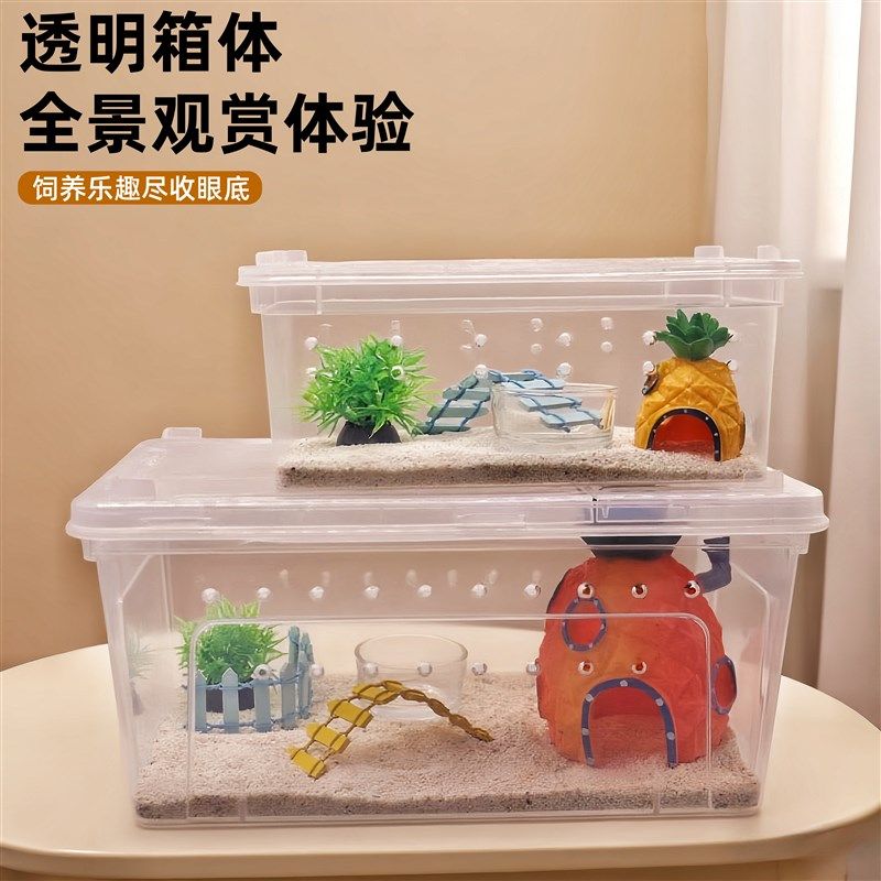 寄居蟹饲养箱套装螃蟹相守蟹饲养缸寄居蟹新手饲养盒宠物儿童礼物,宠物/宠物食品及用品,生态瓶/创意缸/微景缸,淘宝优惠券,粉丝福利购,淘宝优惠卷