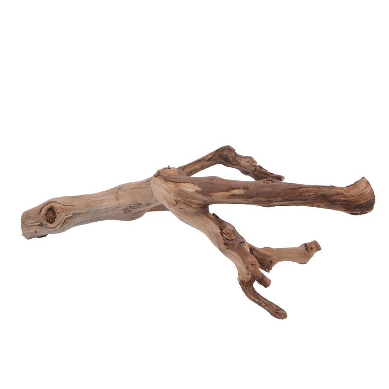 饲养缸睫角树栖爬虫躲避爬宠天然树根黄缘饲养箱环境造景摆件用品