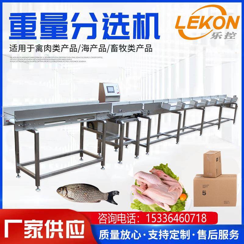 厂家供应皮带式6级重量分选机白条鸭白条鸡重量分级秤称重设备