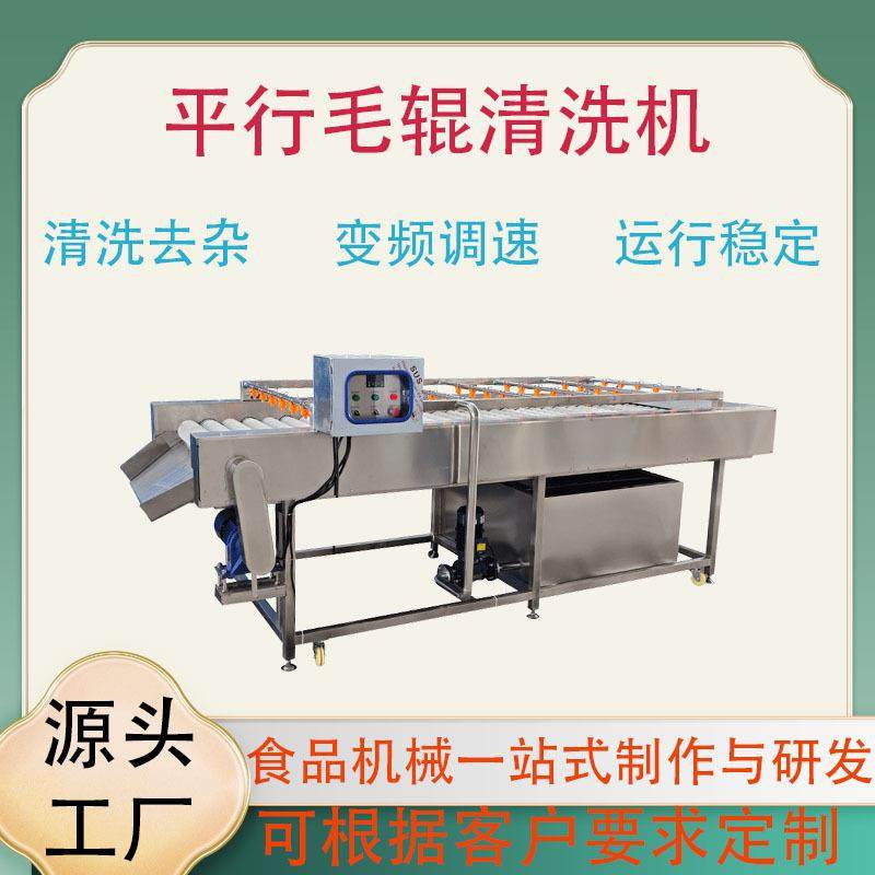 平行毛辊清洗机全自动果蔬去泥清洗设备根茎类去杂设备