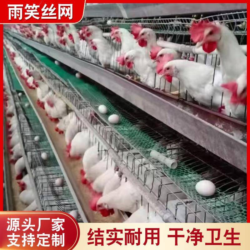 加粗蛋鸡笼阶梯式双边3层鸡笼养殖场鸡笼子镀锌家用鸡笼养殖笼子