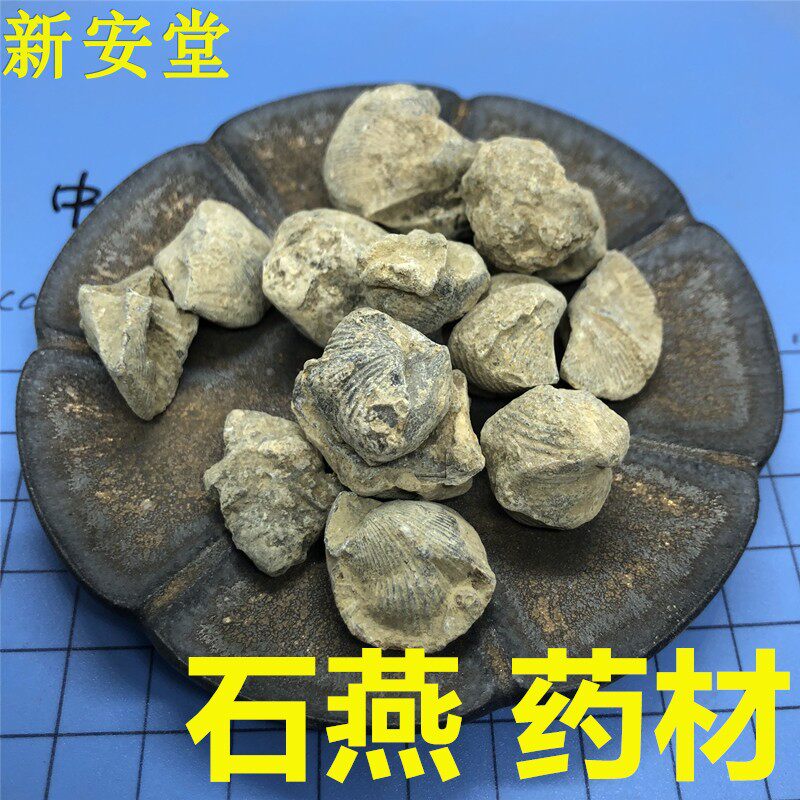 石燕 中药材矿石 500克包邮 石燕子 燕子石 大石燕