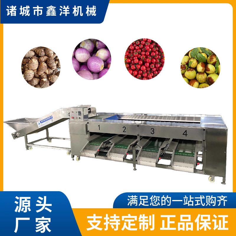 全自动果蔬大小分选机苹果柑橘土豆冬枣分级机瓜果大小筛选设备