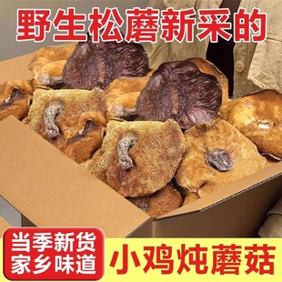 松蘑东北特产野生松蘑菇干货500g松菇粘蛾子松蛾粘团子野生蘑菇
