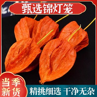 新货干的红姑娘果苦姑娘锦灯笼果皮一体山红菇娘中药材100克 包邮