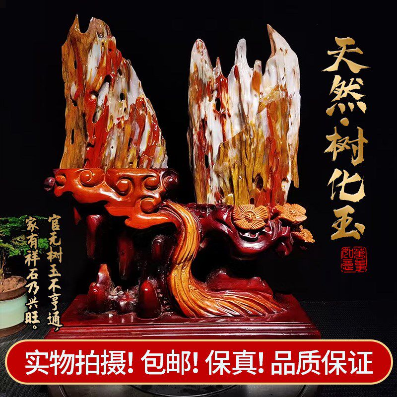 天然缅甸树化玉原石硅化木硅化玉木化石玄关开业送礼