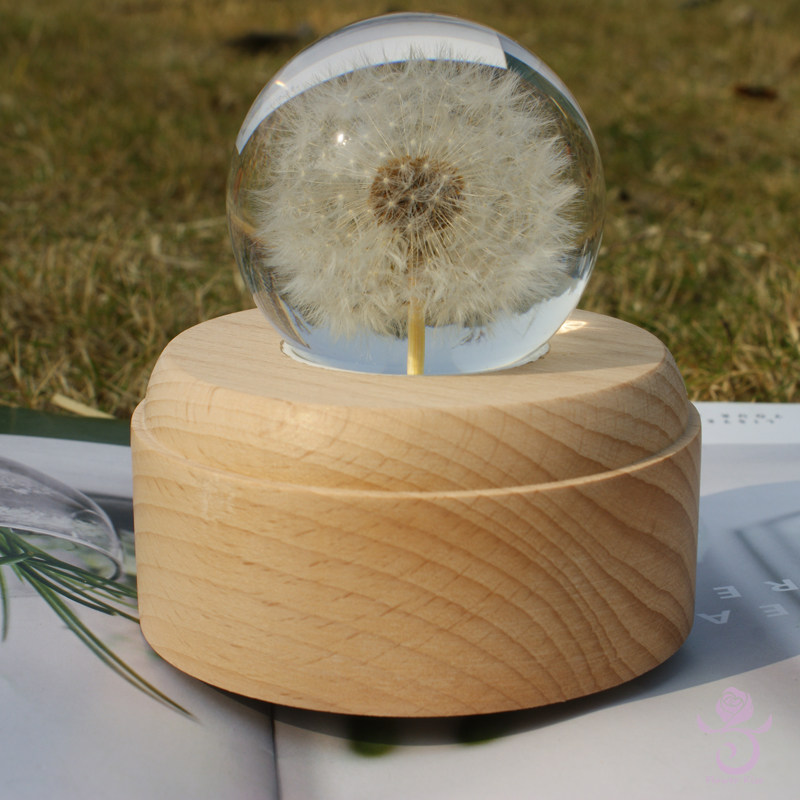 蒲公英音乐盒晶球八音盒永生鲜花植物标本树脂夜圣诞