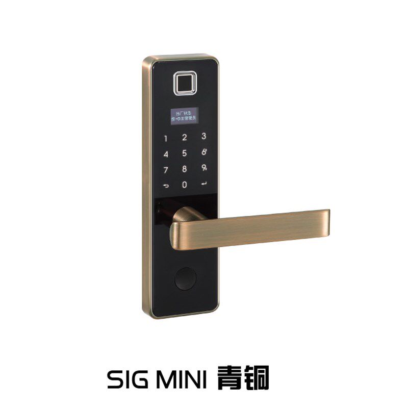 德国指纹密码感应卡锁电锁指纹门锁