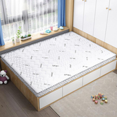 ZH棕垫天然椰棕家用硬垫床垫棕榈垫宿舍高低床配套床垫