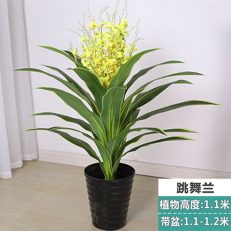 跳舞兰假花仿真巴西木绿铁室内户外落地盆栽家居绿色植物