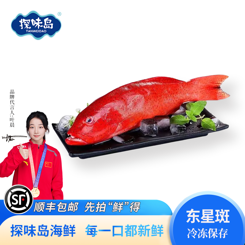 探味岛深海东星斑鲜活冷冻冰鲜海鱼燕尾斑石斑鱼海鲜水产红斑鱼