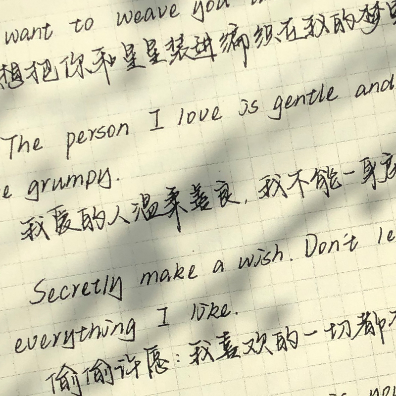 中英手写字帖白昼与眠网红神仙字体漂亮练字楷书行楷行书硬笔书法