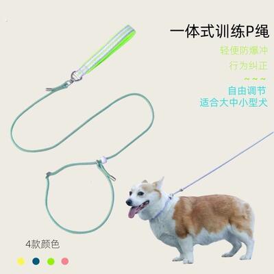 狗狗牵引绳p绳小型犬狗绳绳中型犬项圈p炼训狗专用幼犬训练绳赛级