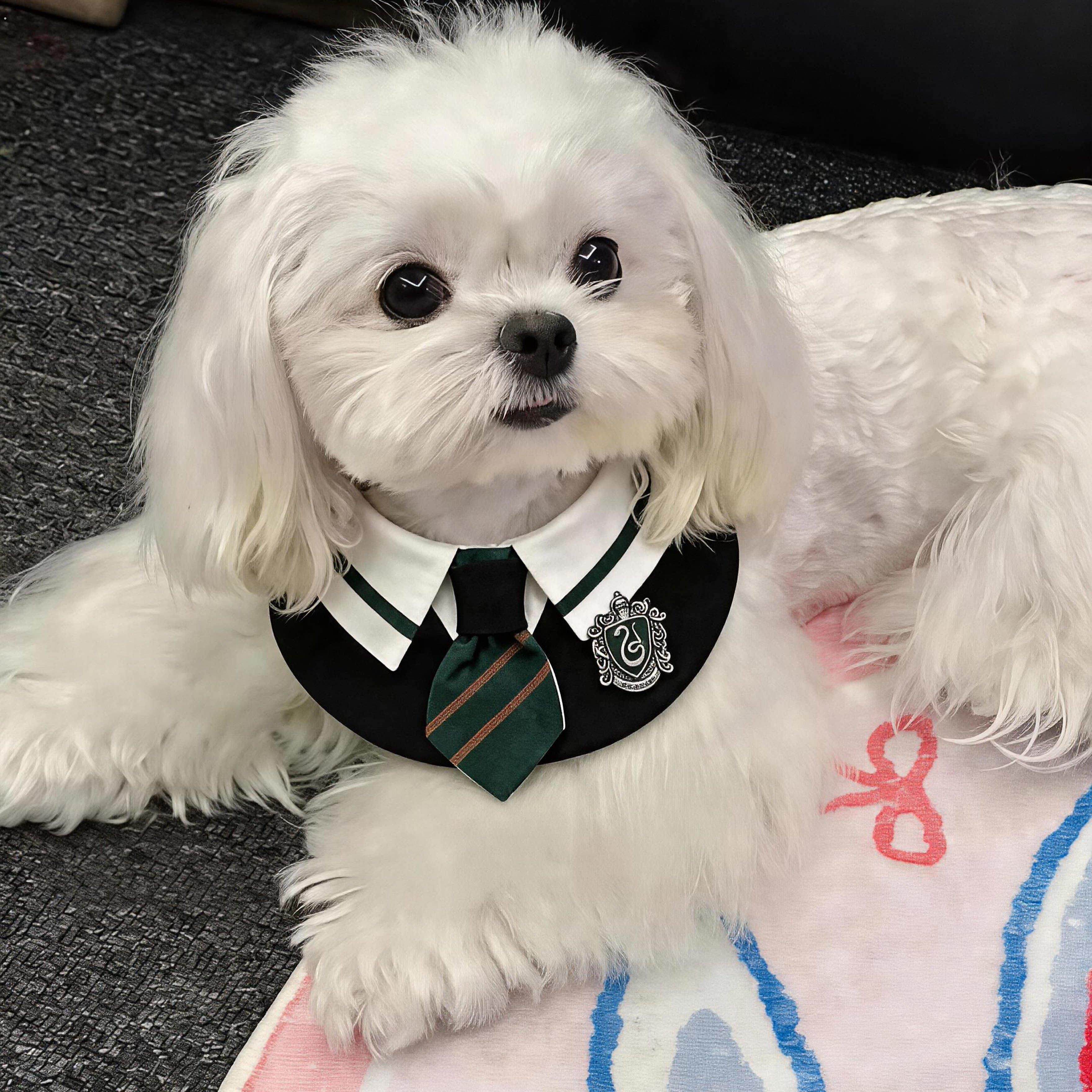 宠物狗狗口水巾霍格沃茨学院风猫咪围脖围兜西高地小狗小型犬配饰